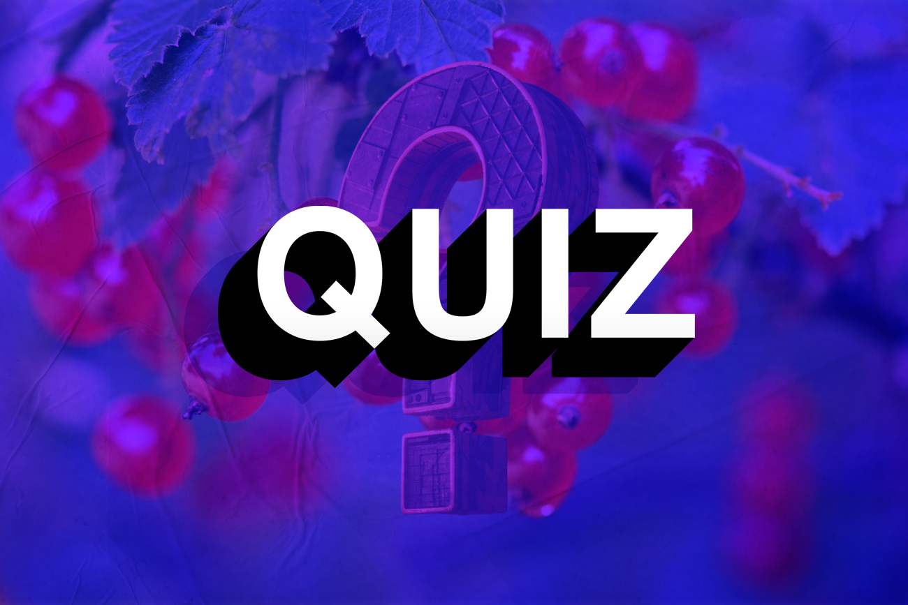 quiz ortograficzny rz ż język polski gżegrzółka quiz ortograficzny rz ż język polski gżegrzółka