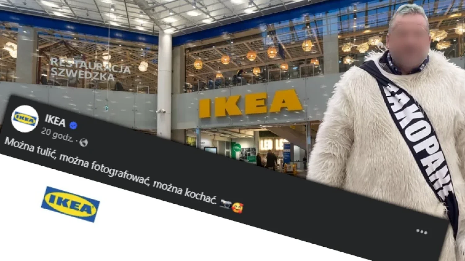 "Chytry miś" z Zakopanego to hit internetu. IKEA zrobiła mistrzowski trolling