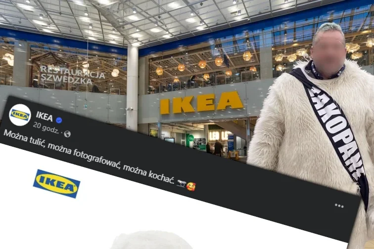 "Chytry miś" z Zakopanego to hit internetu. IKEA zrobiła mistrzowski trolling