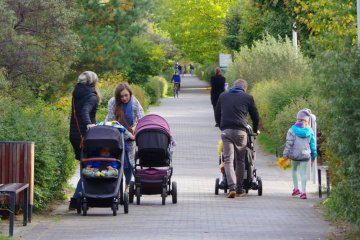 800 plus – tak można stracić 800 plus dla całej rodziny