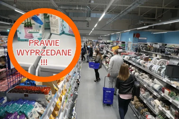 kwiatki klocki action cena promocja lego toi-toys sztuczne kwiatki z klocków