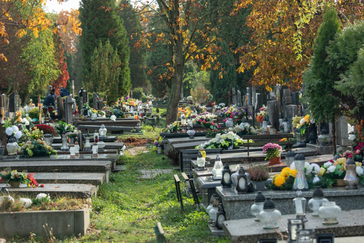 koszt miejsce na cmentarzu ile cennik warszawa kraków łódź wrocław
