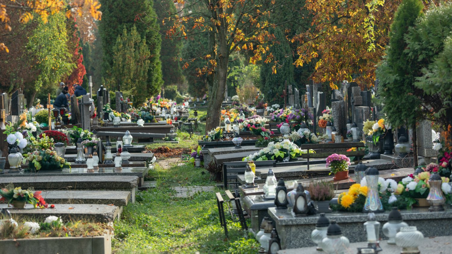 koszt miejsce na cmentarzu ile cennik warszawa kraków łódź wrocław