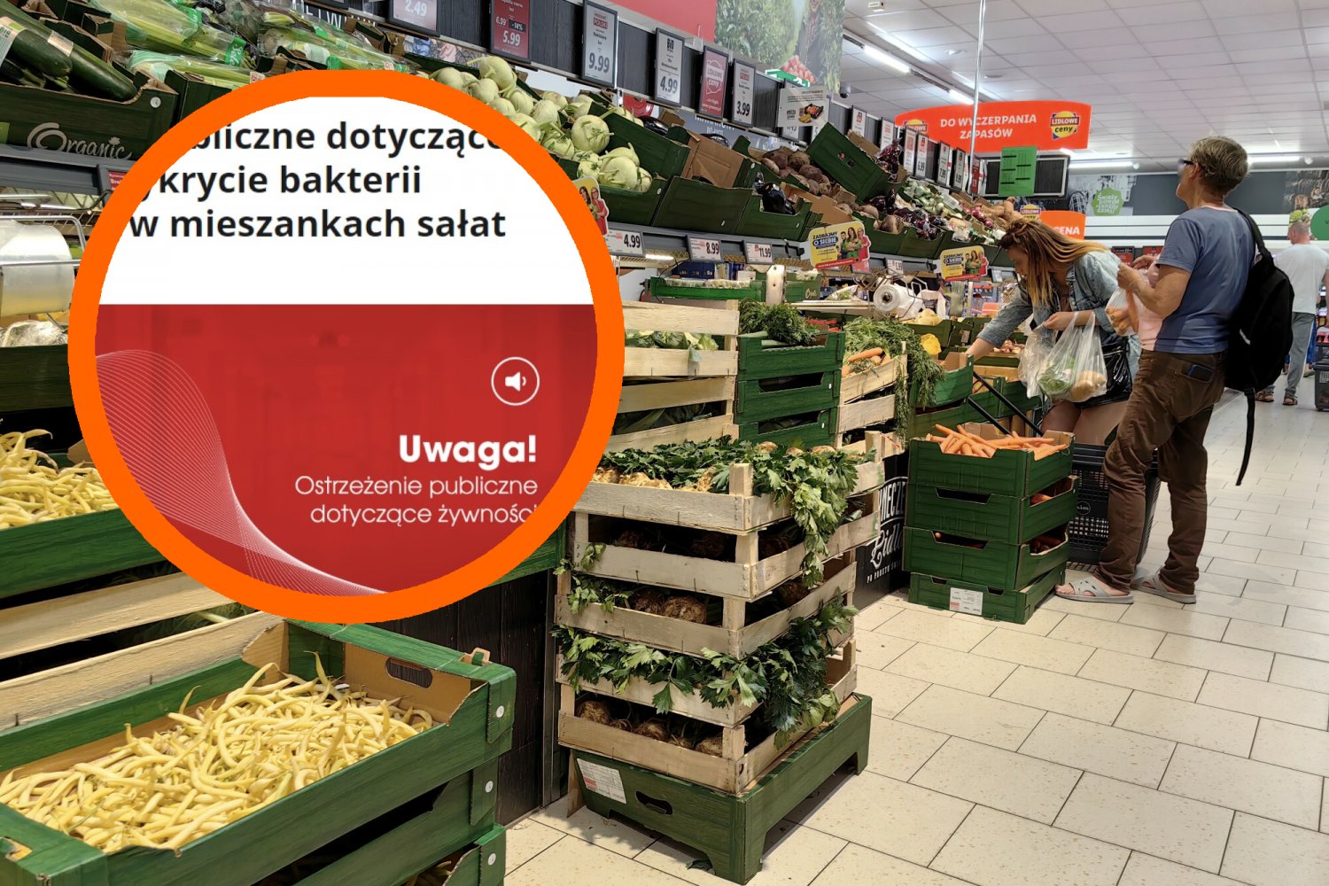 sałata salmonella lidl makro ryneczek lidla sanepid objawy zatrucia sałata salmonella lidl makro ryneczek lidla sanepid objawy zatrucia