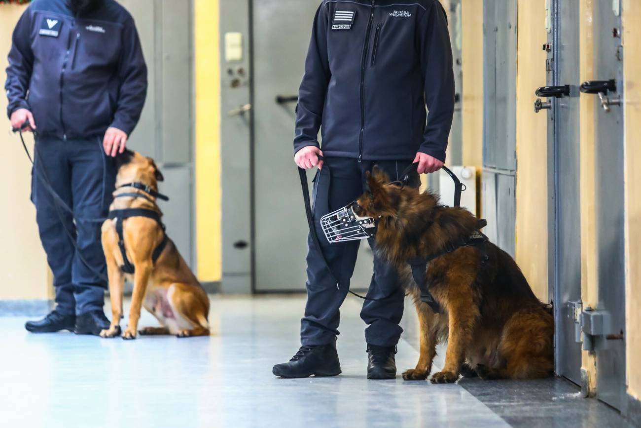 20 tysięcy więźniów od tak wyjdzie na wolność? Więzienia są przeludnione