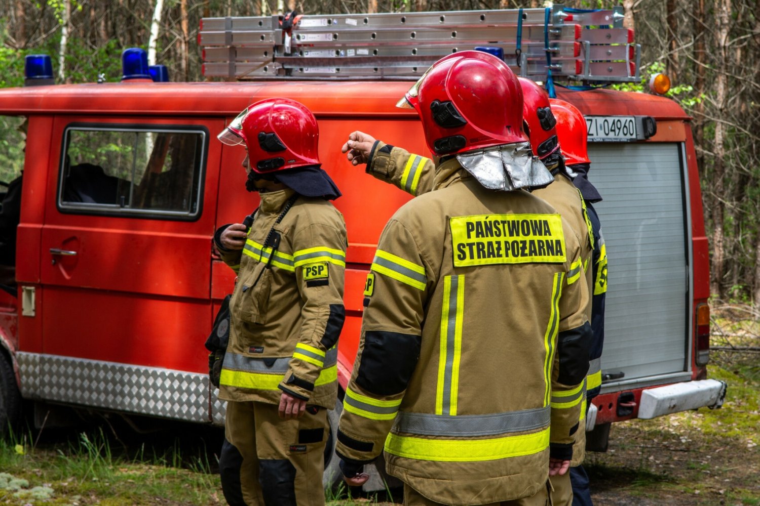 Szczecin. Konar przygniótł dzieci podczas wycieczki w lesie.