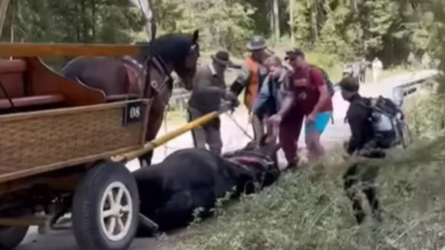 Konie znikną z Morskiego Oka? Rząd rozważa hybrydowe wozy konne