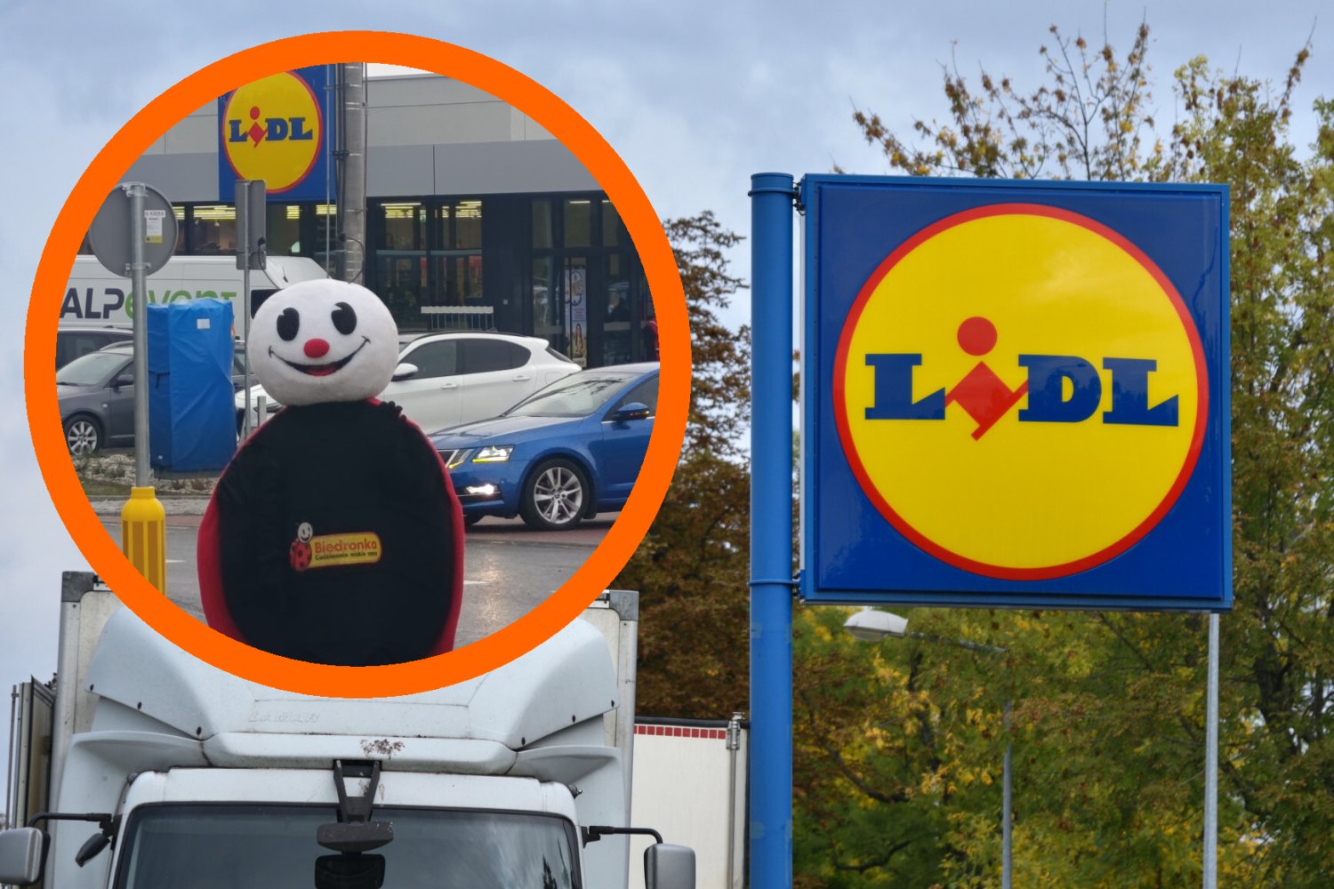 lidl stanowice biedronka stroje zdjęcia wojna cenowa dyskonty lidl stanowice biedronka stroje zdjęcia wojna cenowa dyskonty