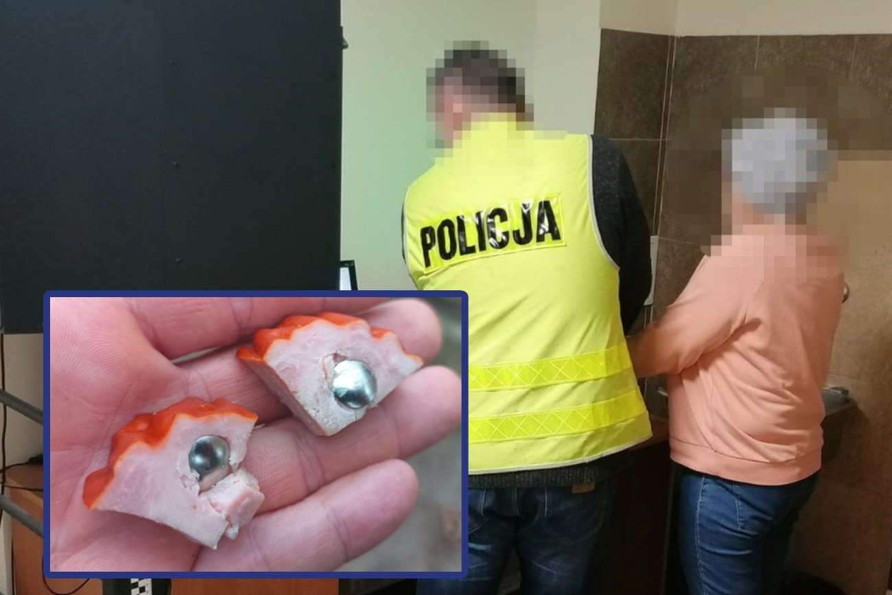 Jaworzno: 69-latka zatrzymana przez policję. Chciała pozabijać zwierzęta