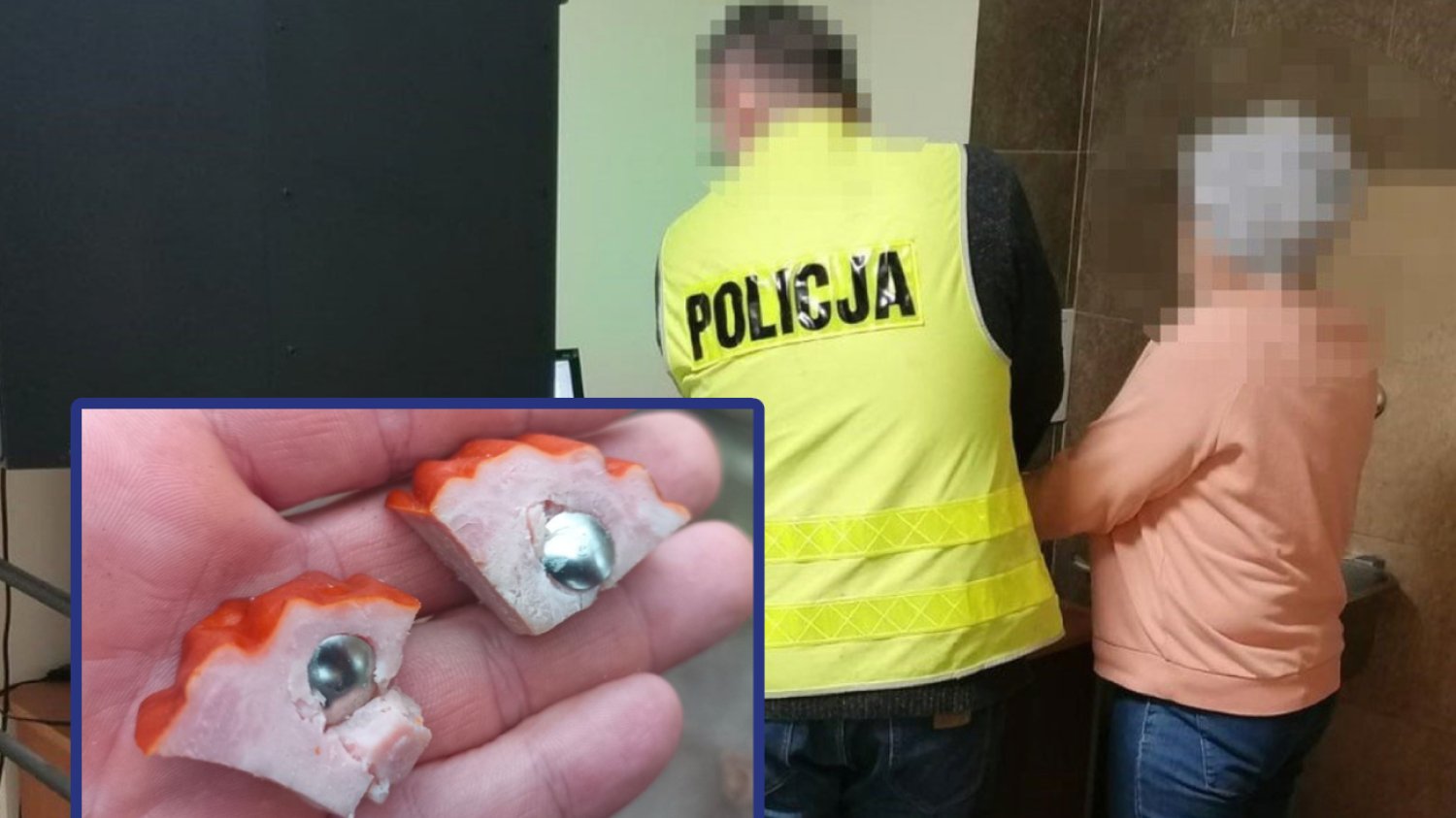 Jaworzno: 69-latka zatrzymana przez policję. Chciała pozabijać zwierzęta