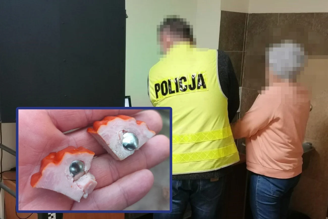 Jaworzno: 69-latka zatrzymana przez policję. Chciała pozabijać zwierzęta