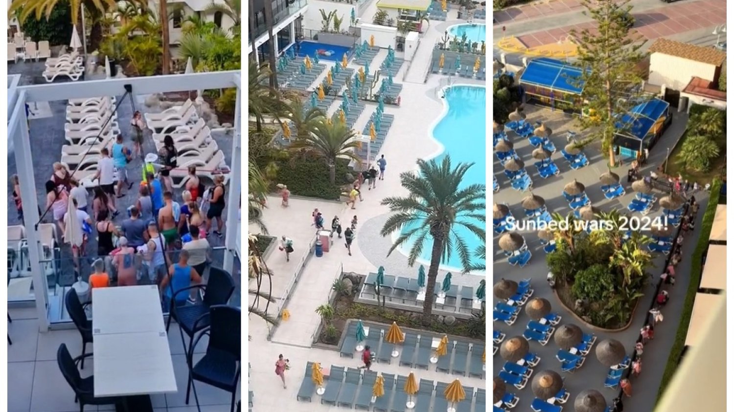 wojny na leżaki hiszpania teneryfa filmiki tiktok parawany wakacje hotel