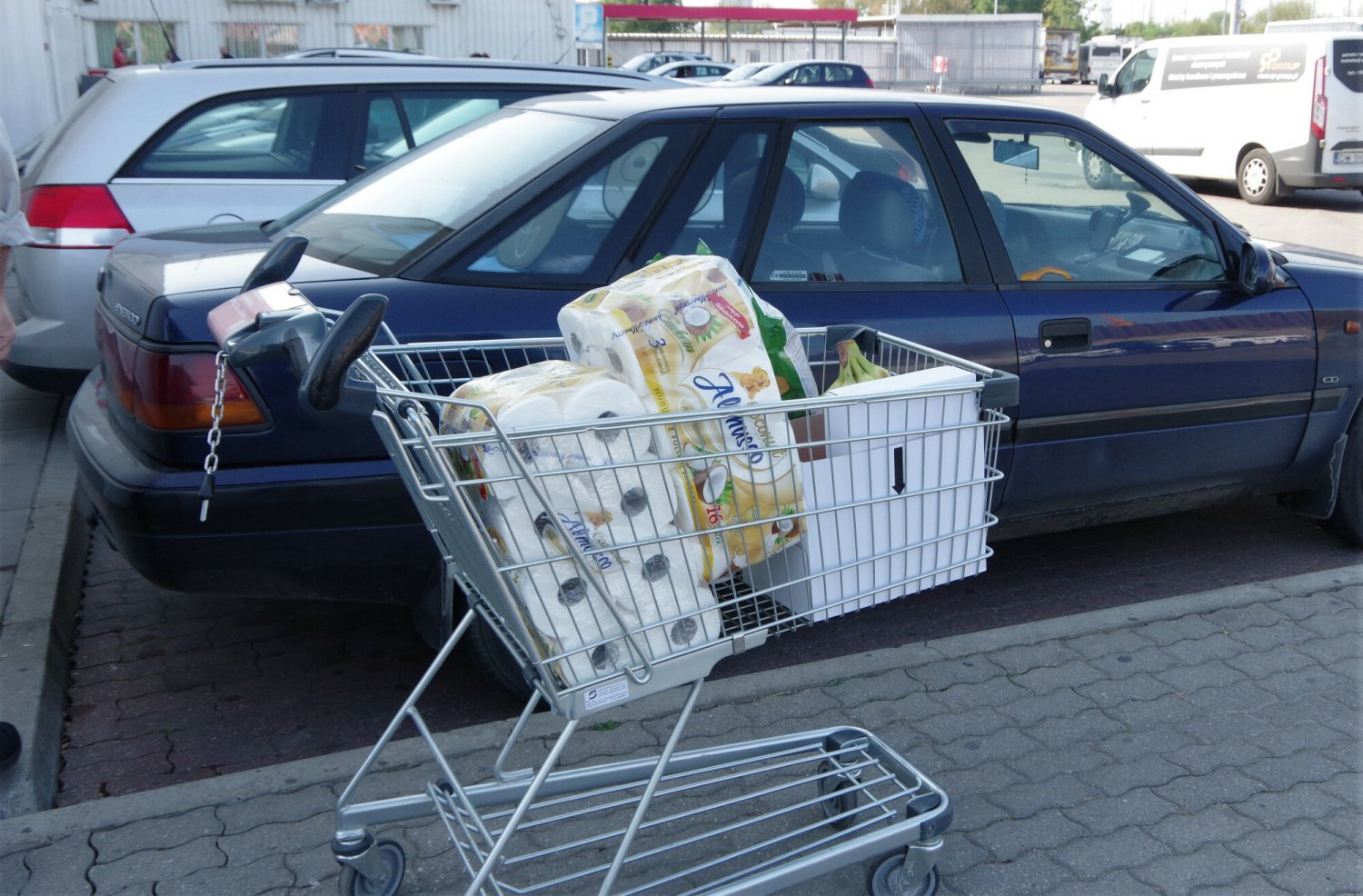 Teoria wózka na zakupy. O co w niej chodzi i co o nas mówi?