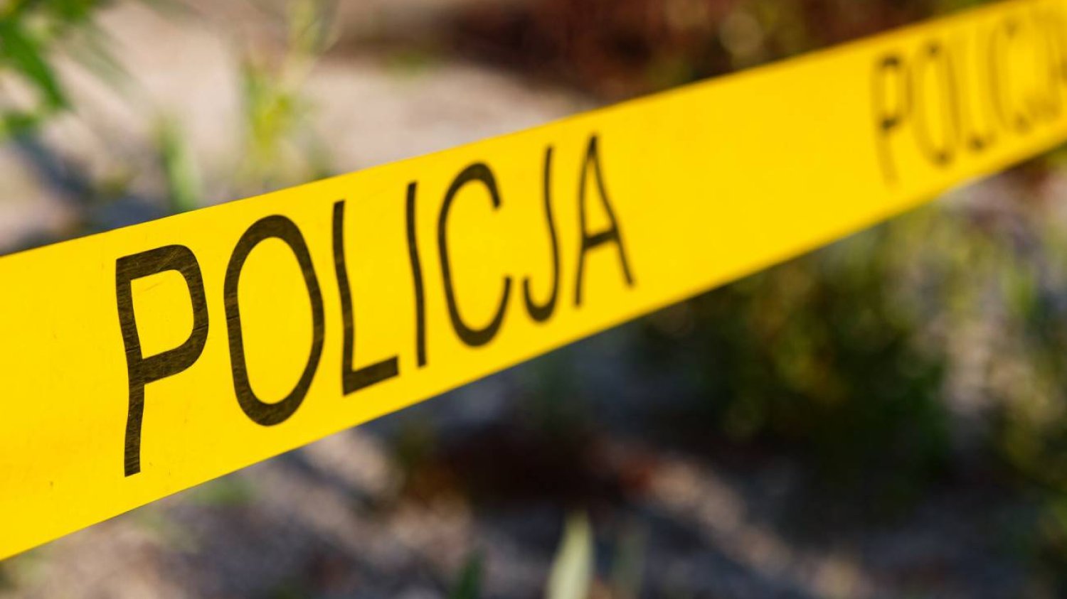 Tragedia pod Poznaniem. Nie żyje była uczestniczka "Top Model"