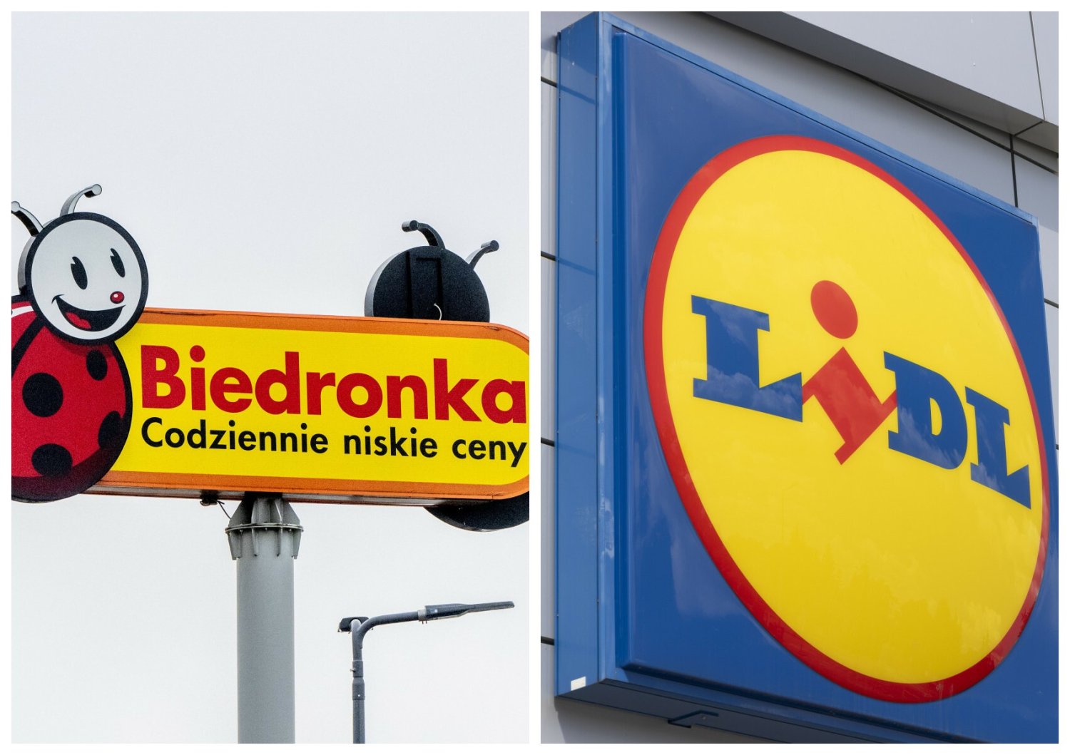 Biedronka i Lidl – wyprawka szkolna za darmo. Promocja na 17 sierpnia