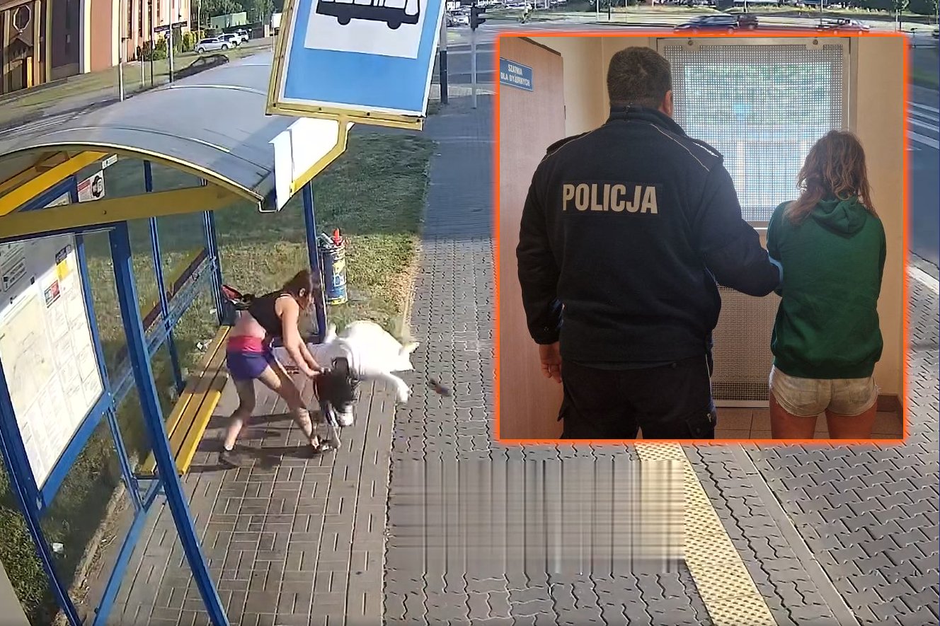 pabianice przystanek pobicie kobieta film wideo policja brutalna pomyłka pabianice przystanek pobicie kobieta film wideo policja brutalna pomyłka