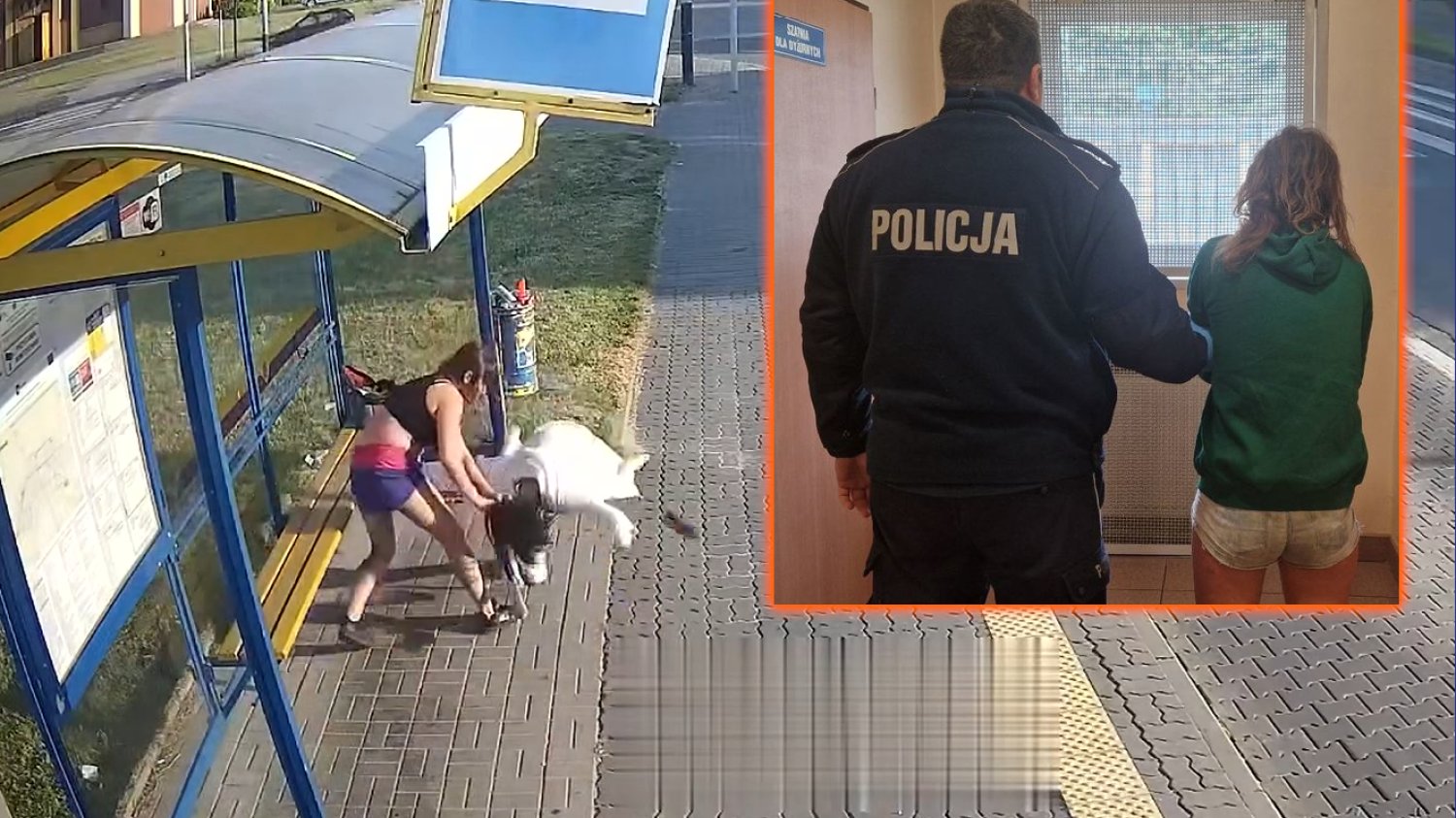 pabianice przystanek pobicie kobieta film wideo policja brutalna pomyłka