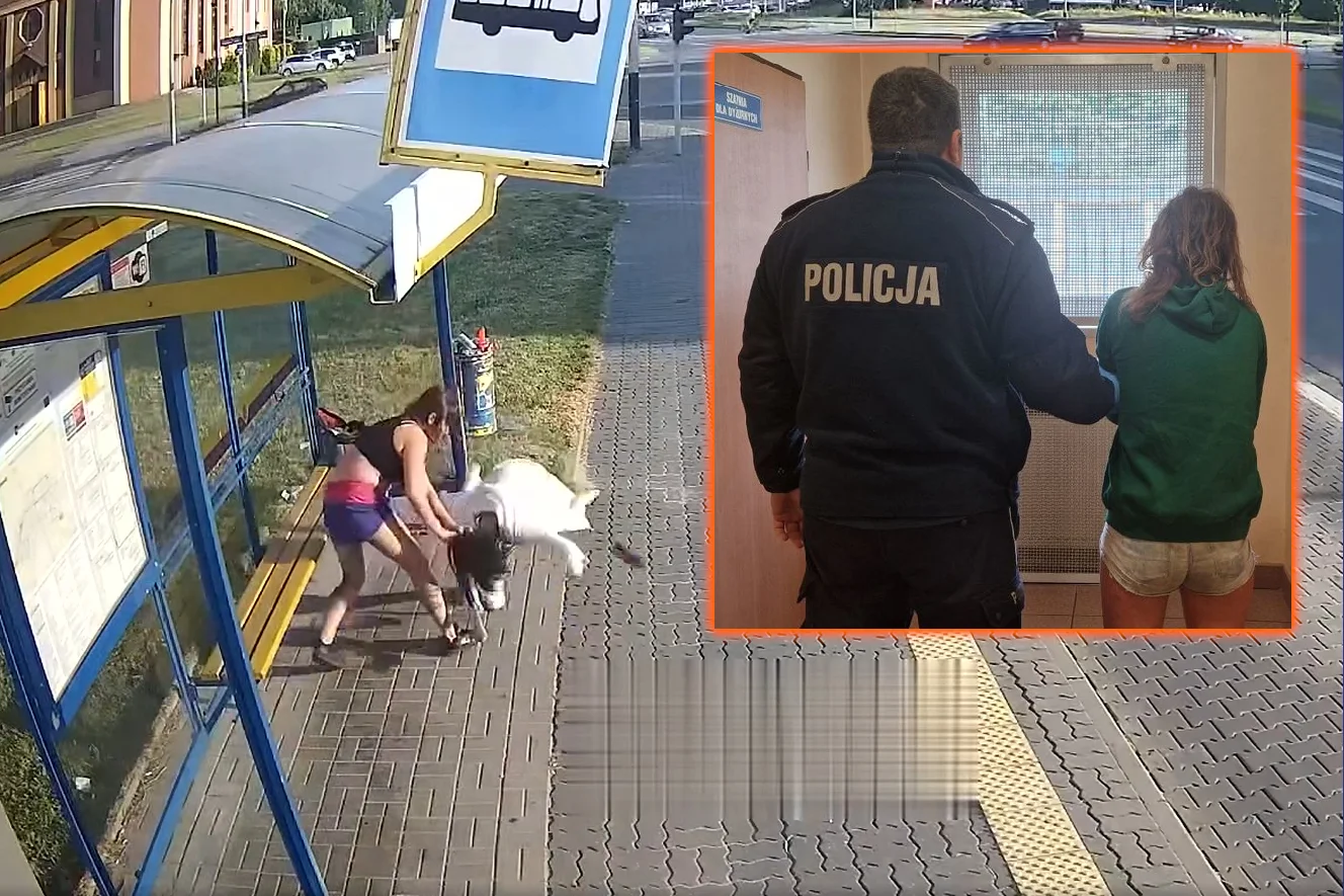 pabianice przystanek pobicie kobieta film wideo policja brutalna pomyłka