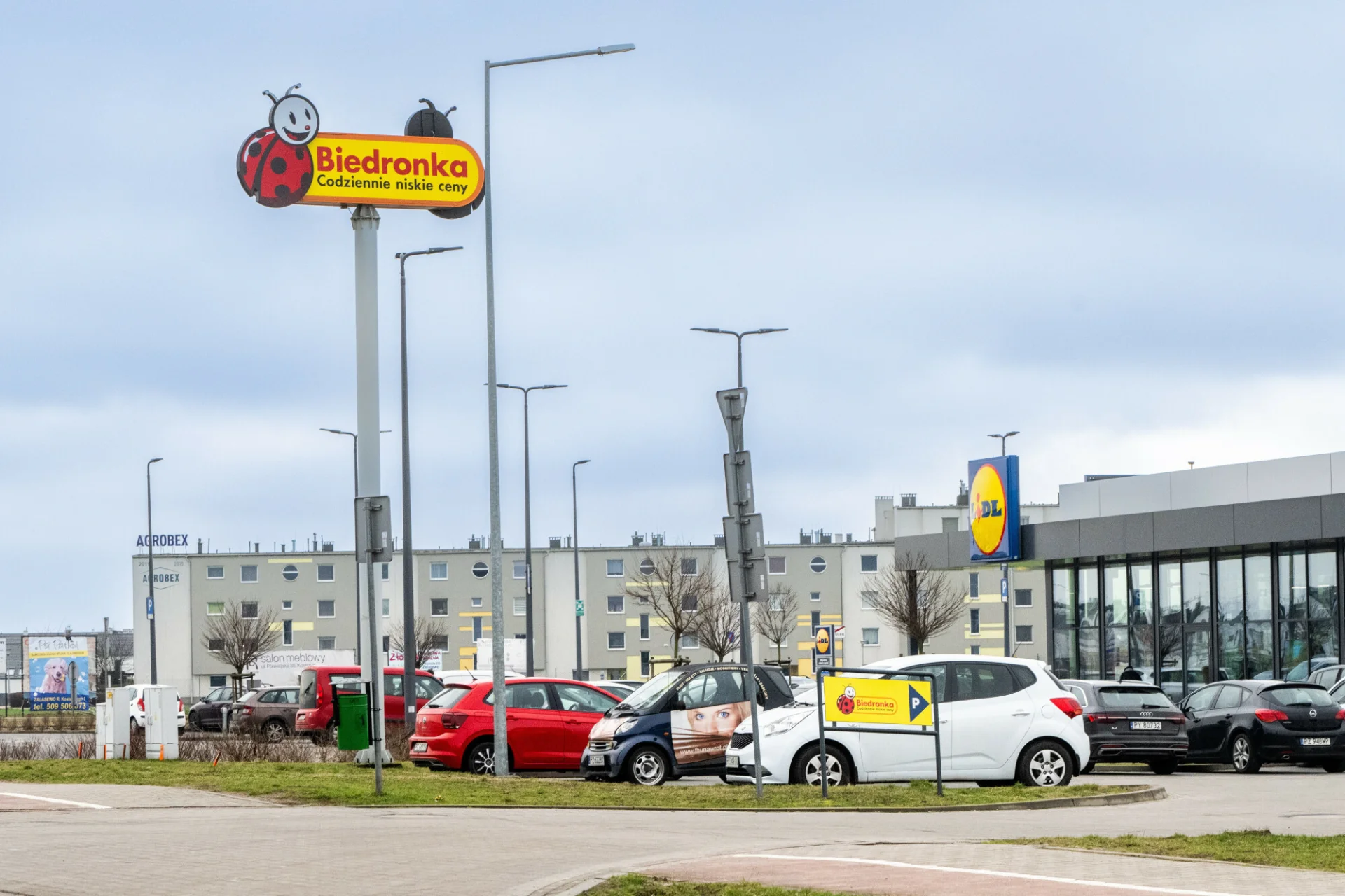 Biedronka i Lidl wprowadzają nową opłatę do zakupów.