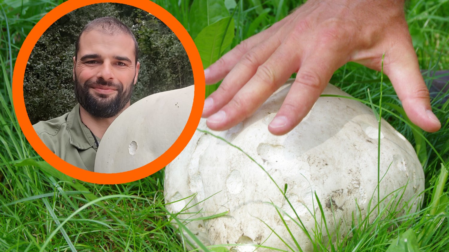 https://topnewsy.pl/4073,cebula-czarownic-i-czosnek-cyganski-pod-ochrona-grozi-5-tys-kary