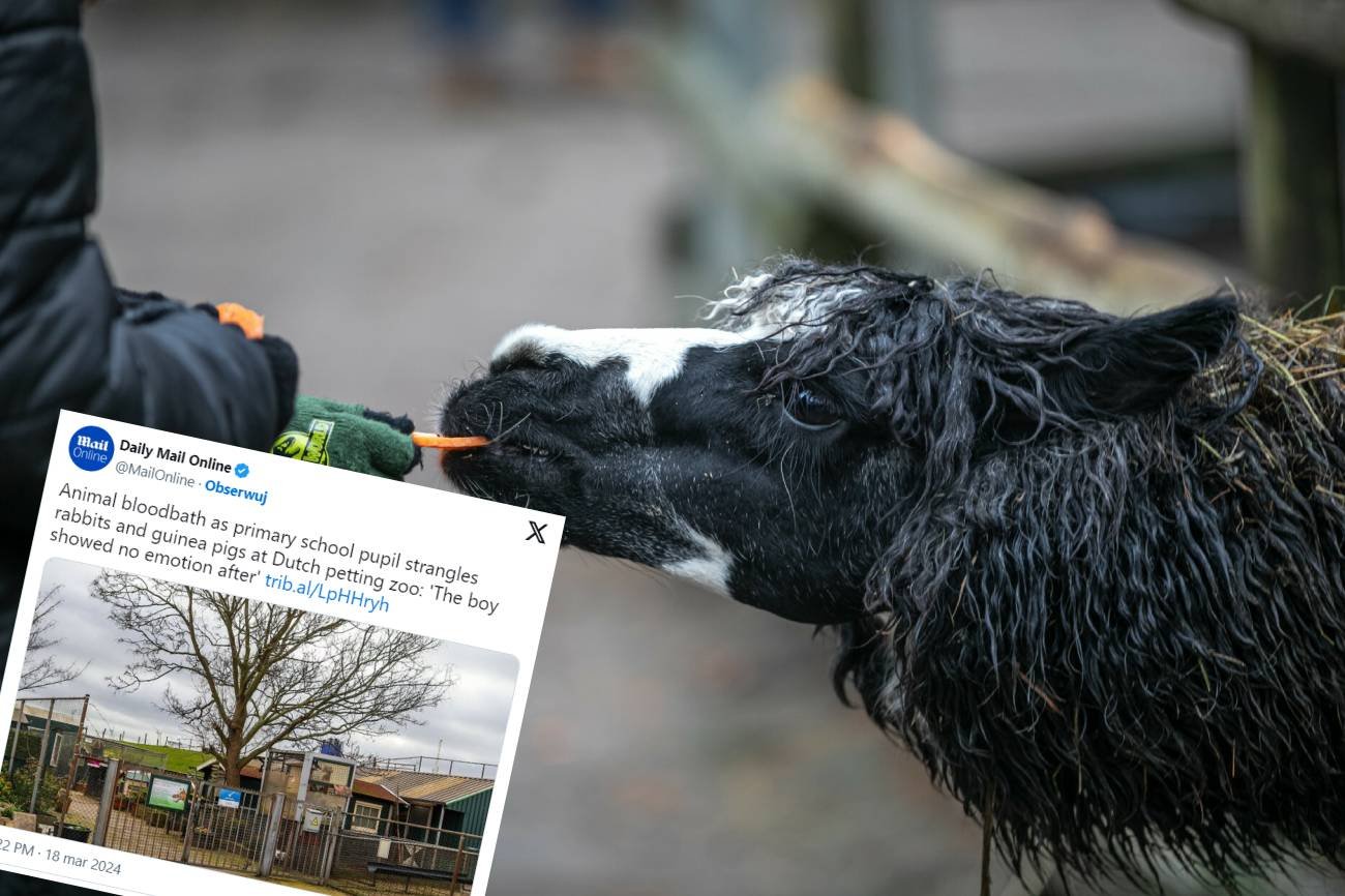 Besitialski napad 9-latka na minizoo. Urządził zwierzętom piekło