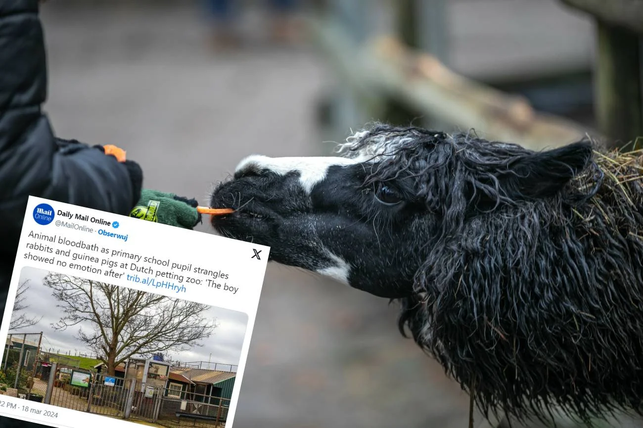 Besitialski napad 9-latka na minizoo. Urządził zwierzętom piekło