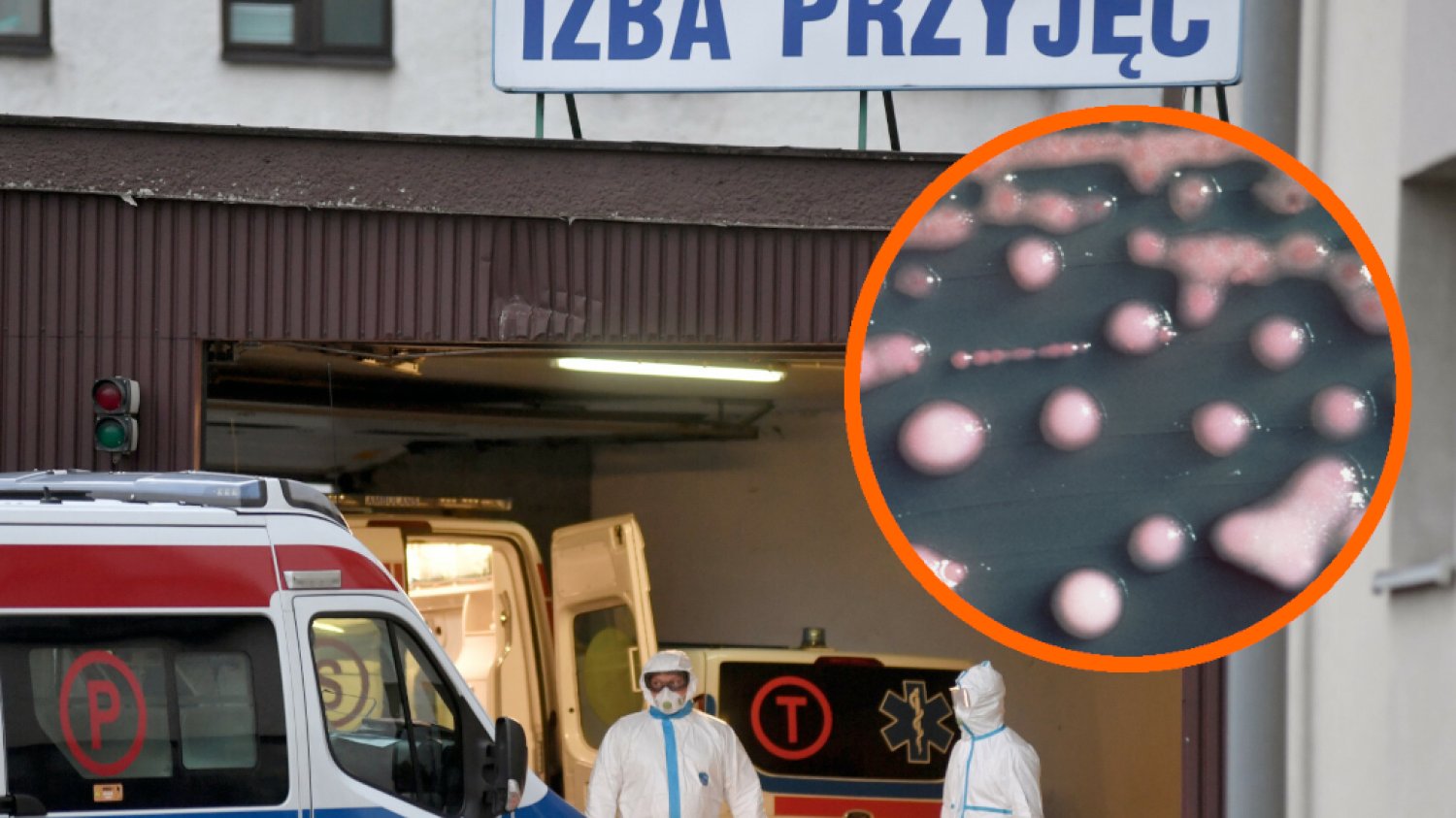 new delhi poznań szpital superbakteria objawy zakażenia jak się leczy