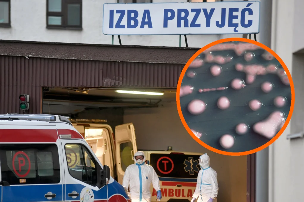 new delhi poznań szpital superbakteria objawy zakażenia jak się leczy