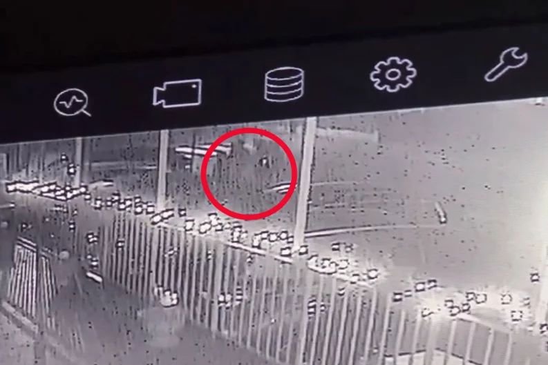 12-latka patrzyła, jak kierowca w Międzyzdrojach zabił jej 7-letniego braciszka i rodziców.