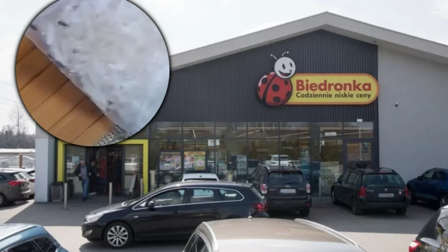 biedronka ryż robaki wołki zbożowe filmik wideo biedronka ryż robaki wołki zbożowe filmik wideo