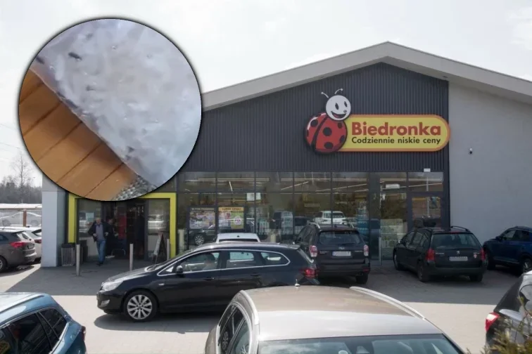 biedronka ryż robaki wołki zbożowe filmik wideo biedronka ryż robaki wołki zbożowe filmik wideo