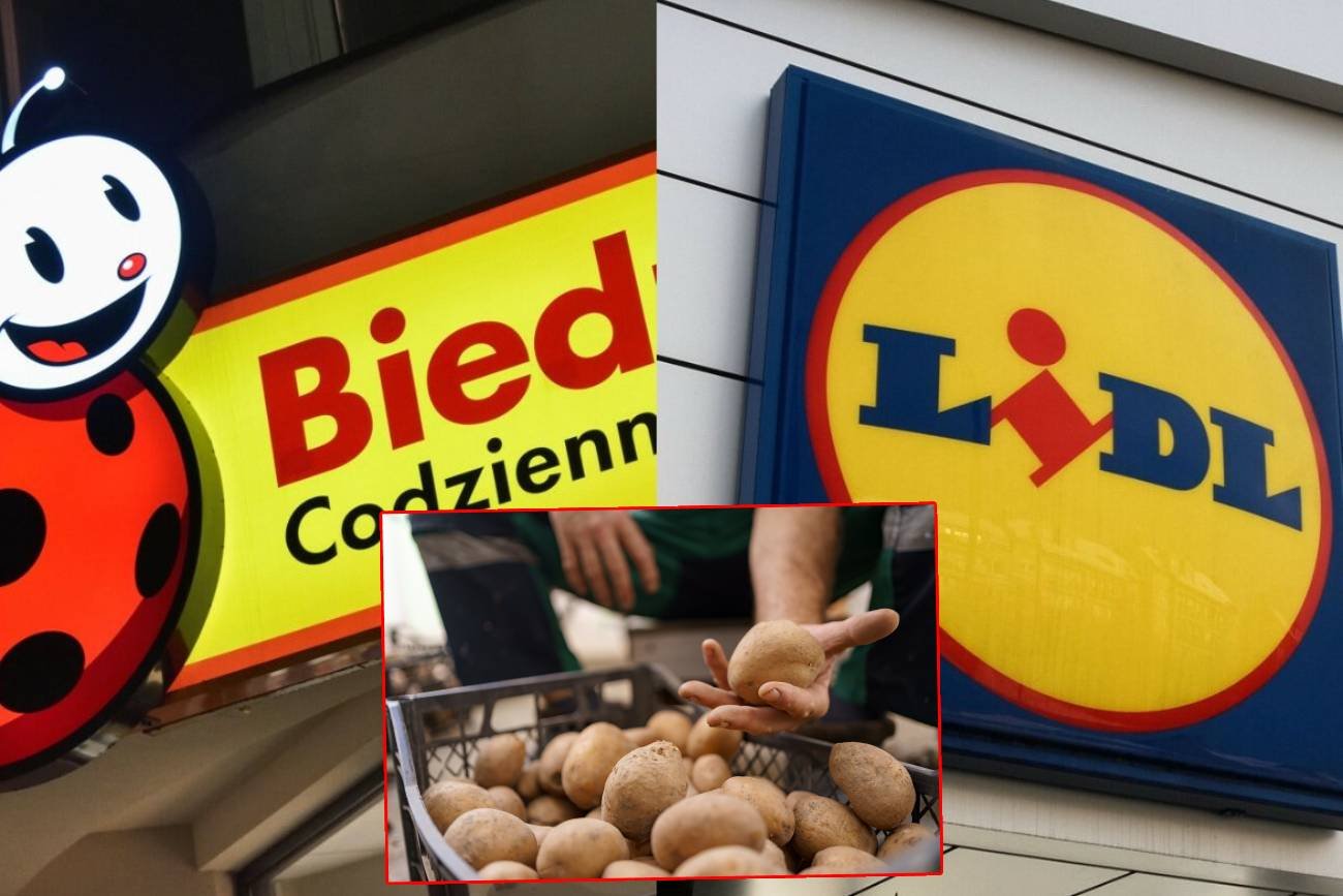 Lidl i Biedronka – badanie  ziemniaków.  W jednym markecie bez pestydcydów