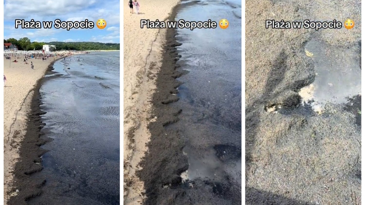 sopot plaża glony molo filmik tiktok komentarze