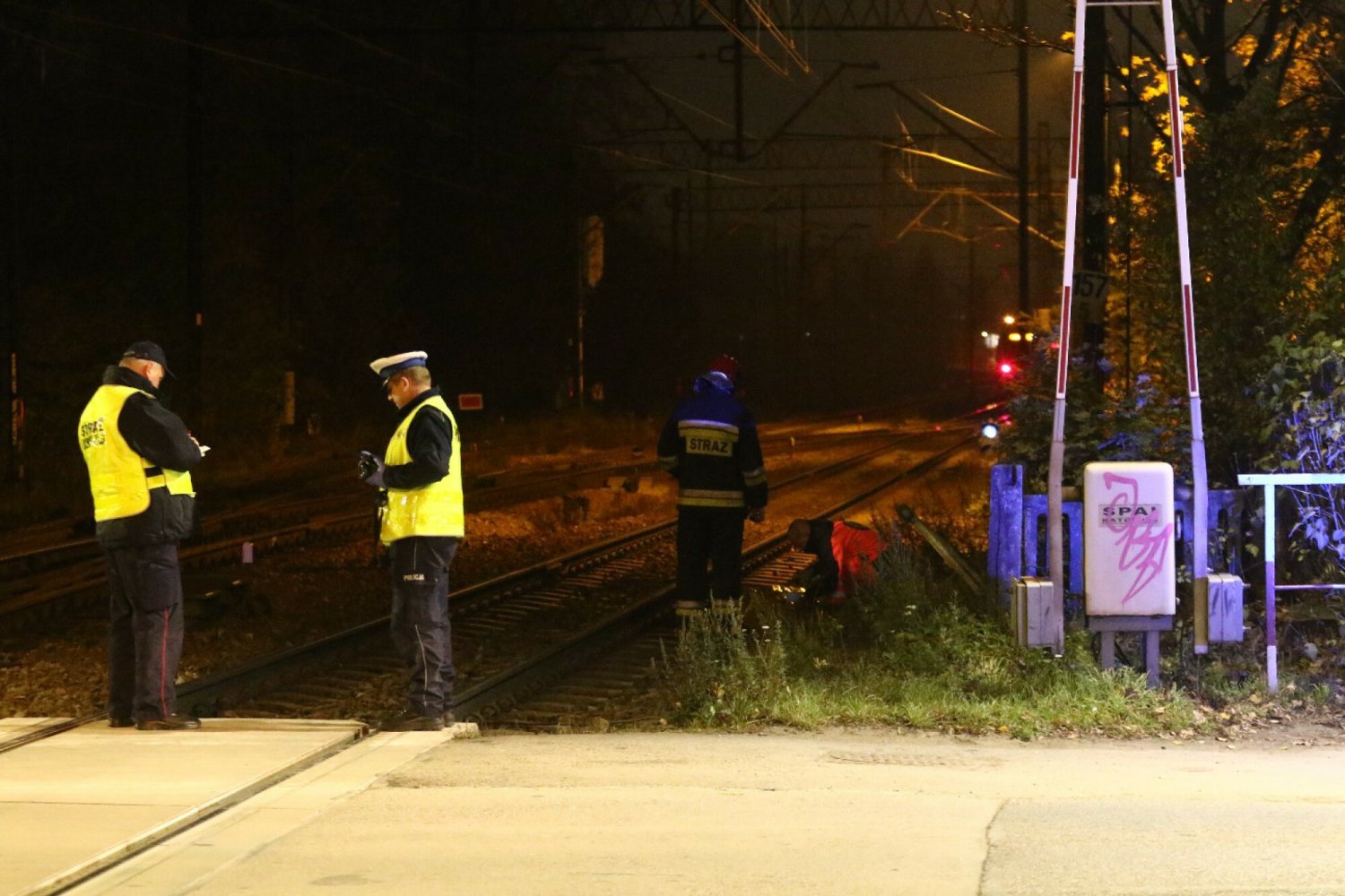piastów morderstwo zwłoki w wózku dziecięcym marek d. policja