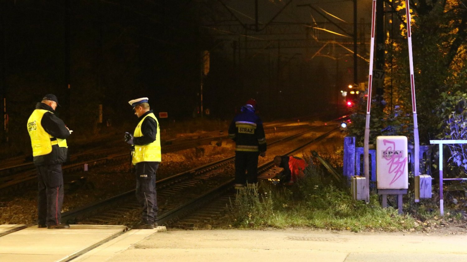 piastów morderstwo zwłoki w wózku dziecięcym marek d. policja piastów morderstwo zwłoki w wózku dziecięcym marek d. policja