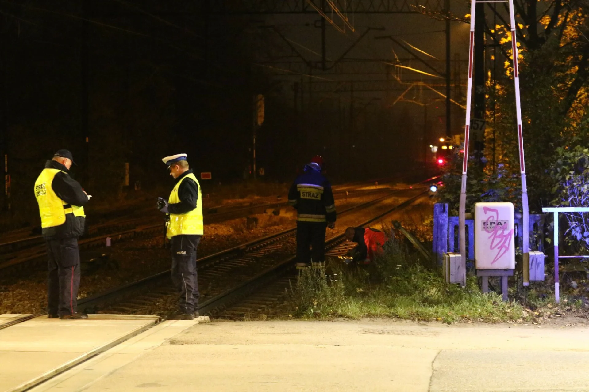 piastów morderstwo zwłoki w wózku dziecięcym marek d. policja piastów morderstwo zwłoki w wózku dziecięcym marek d. policja