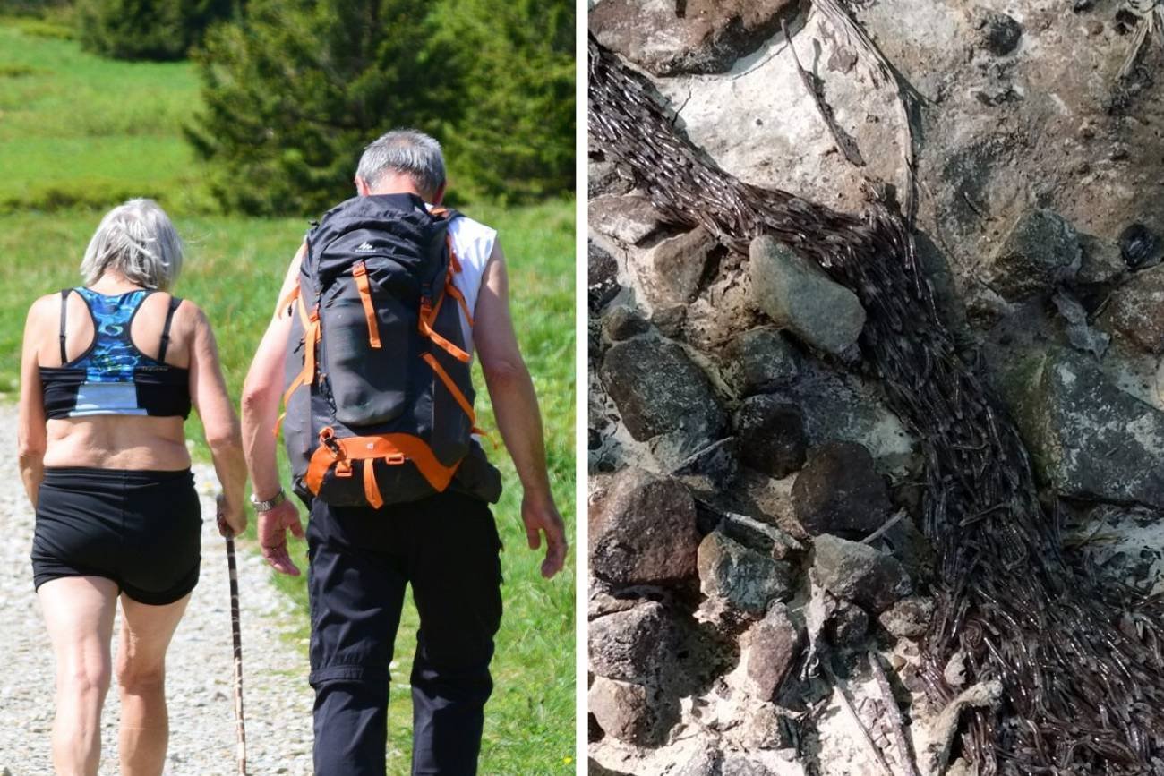 Tatry – tajemnicze zjawisko. Turyści złapali za telefon, żeby nagrać istotę