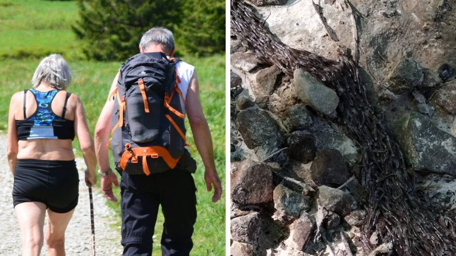Tatry – tajemnicze zjawisko. Turyści złapali za telefon, żeby nagrać istotę