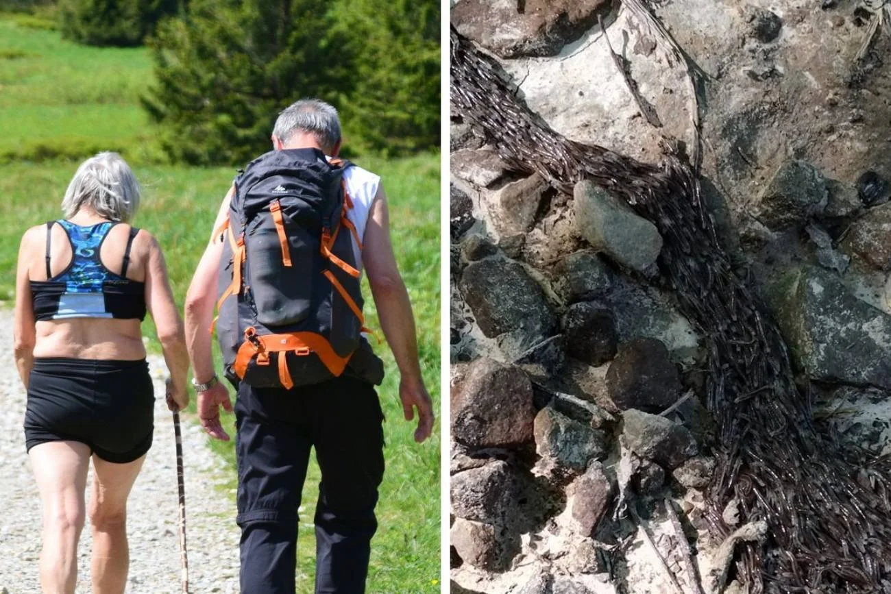 Tatry – tajemnicze zjawisko. Turyści złapali za telefon, żeby nagrać istotę