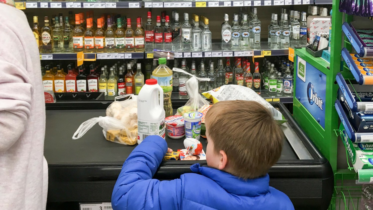 biedronka promocja olej kujawski cena zboże z ukrainy