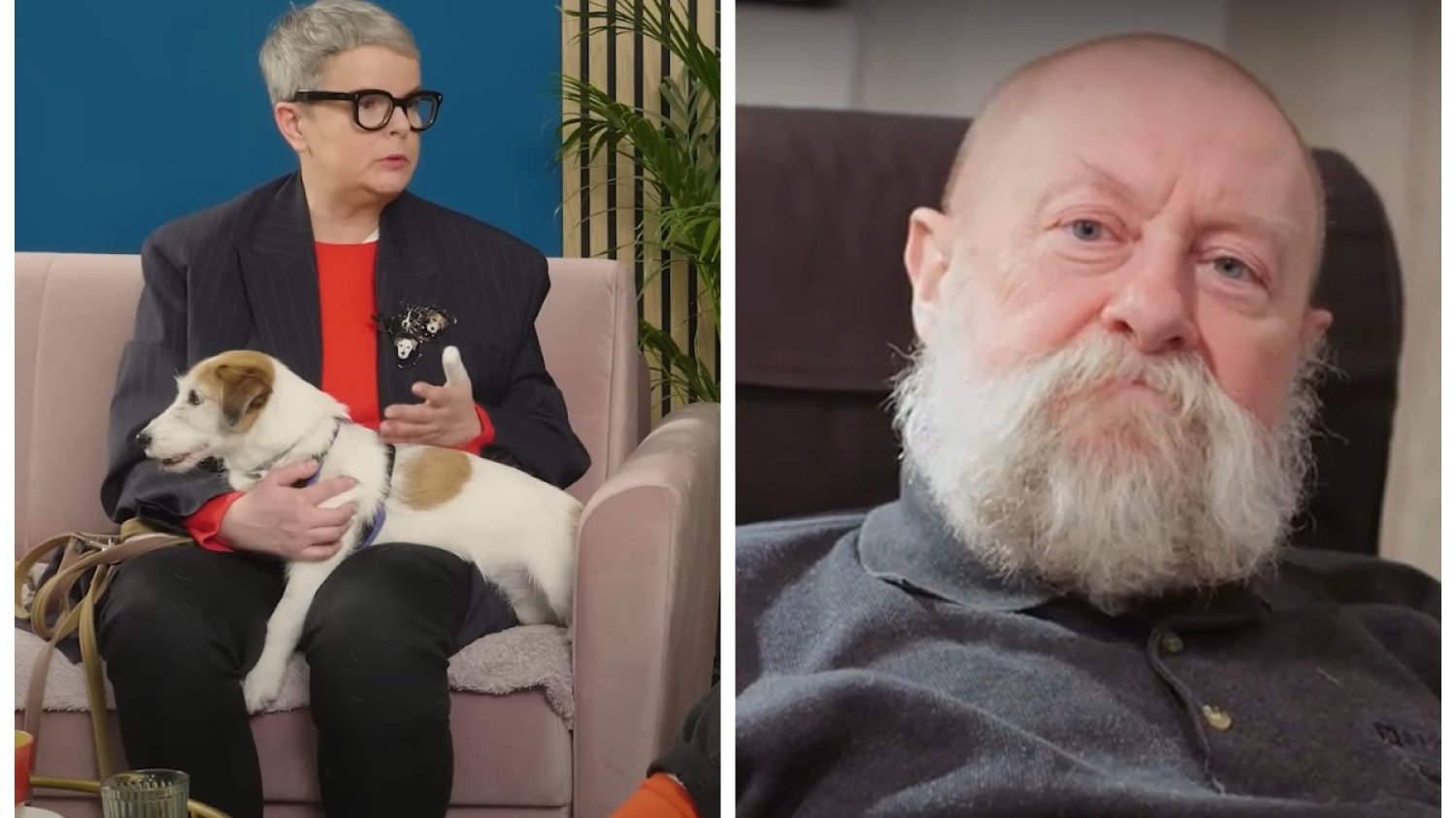 prof bralczyk psy cytat pies zdycha czy umiera komentarz karolina korin-piotrowska