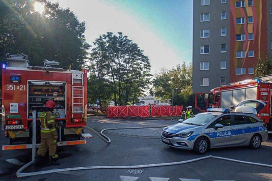 Skierniewice. 73-latek spłonął w aucie elektrycznym.