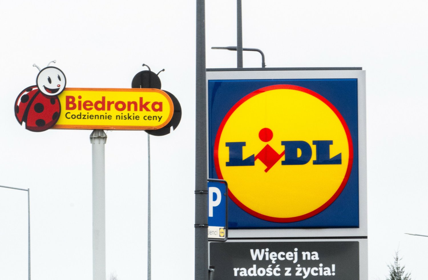 biedronka lidl gdzie taniej sonda polacy który sklep lubią bardziej