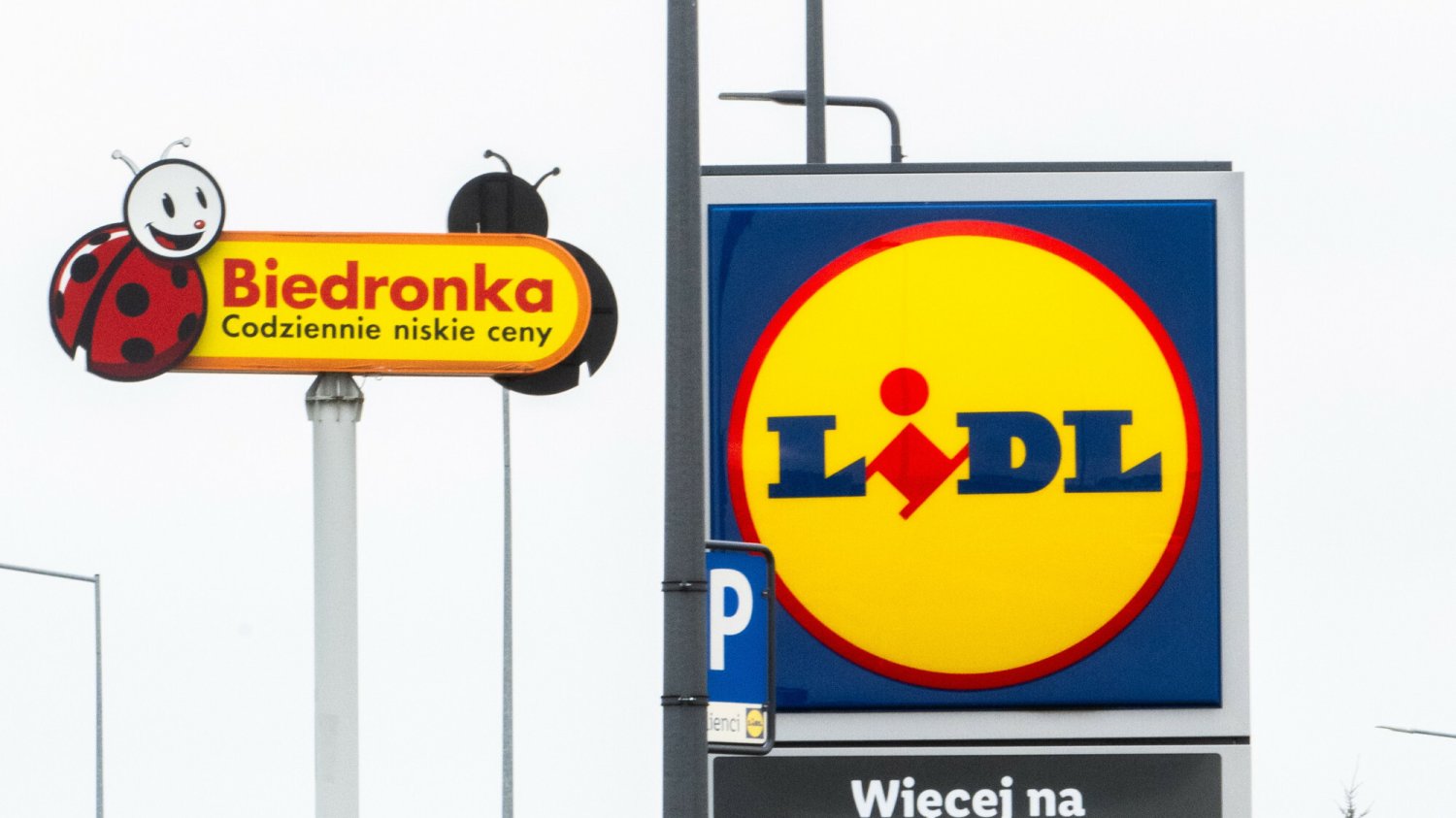 biedronka lidl gdzie taniej sonda polacy który sklep lubią bardziej biedronka lidl gdzie taniej sonda polacy który sklep lubią bardziej
