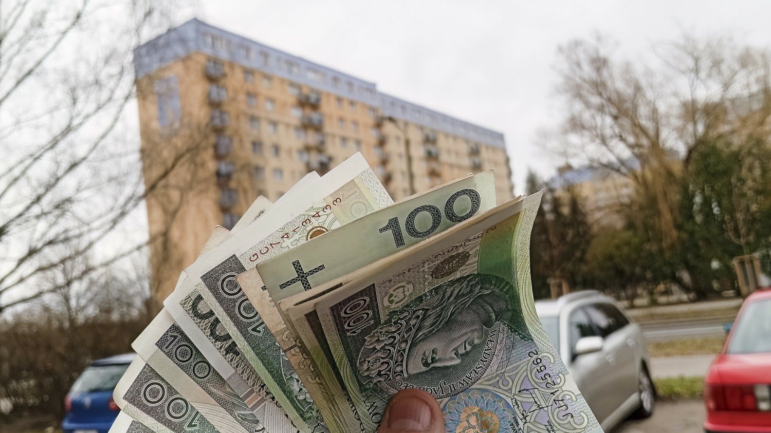 dopłąta do czynszu dofinansowanie wynajmu mieszkania Samodzielność-Aktywność-Mobilność Mieszkanie dla Absolwenta PFRON dopłąta do czynszu dofinansowanie wynajmu mieszkania Samodzielność-Aktywność-Mobilność Mieszkanie dla Absolwenta PFRON