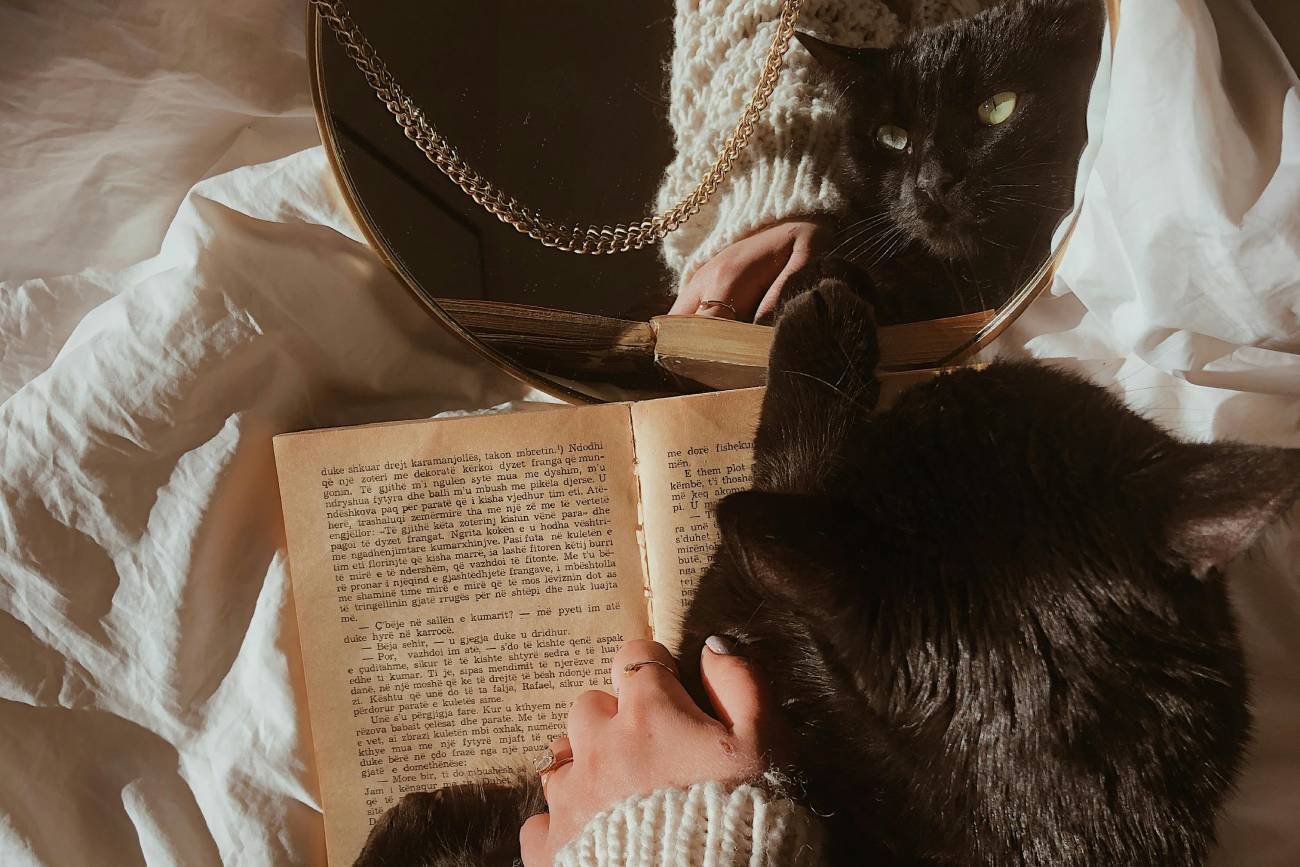 Przesądy Polaków nadal żywe. Rozsypana sól znaczy dla nich kłótnia