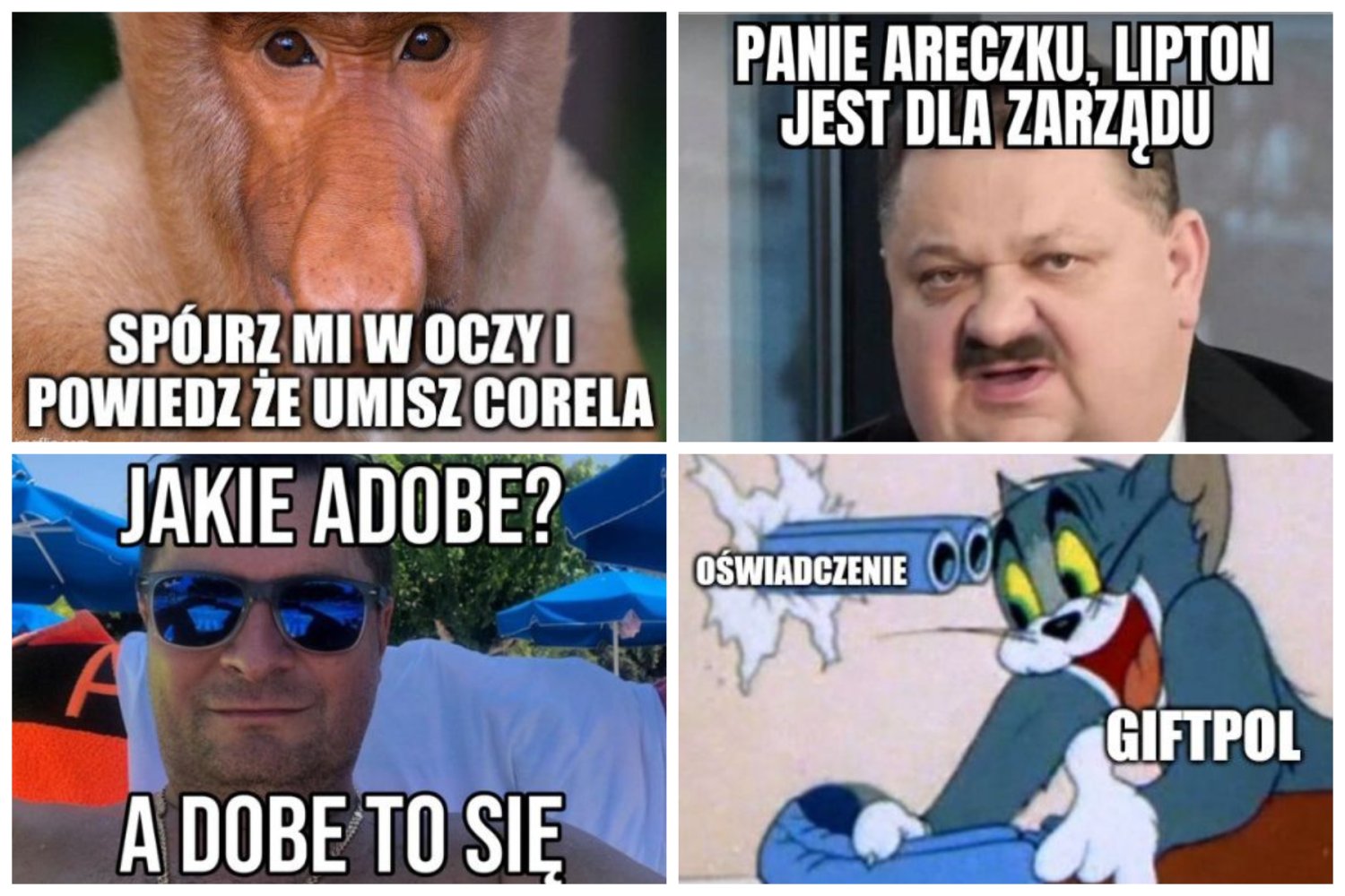Memy po zwolnieniu graficzki na Skype przez Giftpol po dwóch dniach pracy.