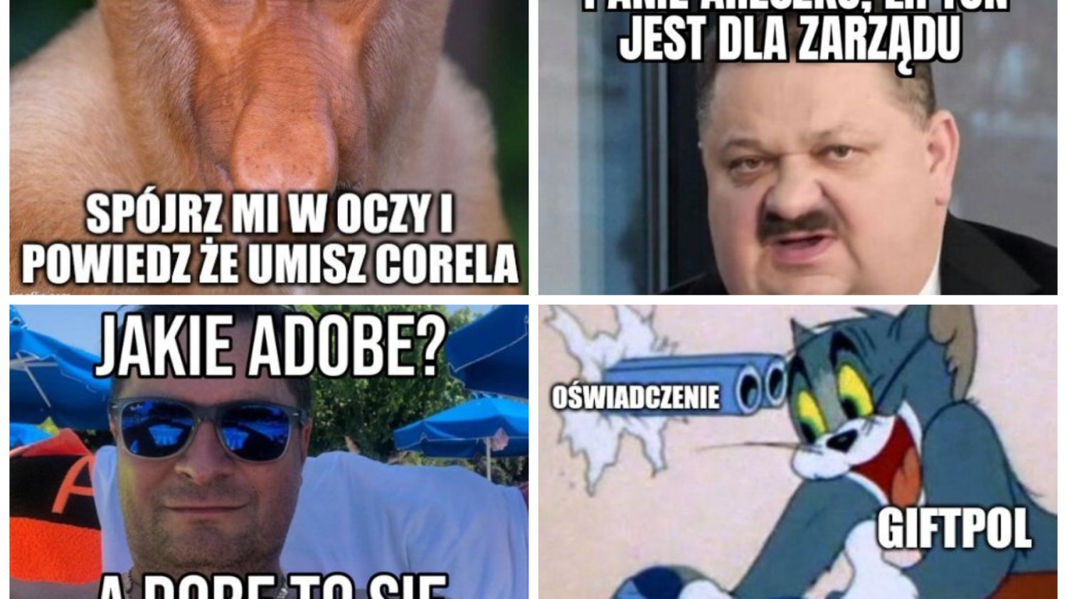 Memy po zwolnieniu graficzki na Skype przez Giftpol po dwóch dniach pracy.