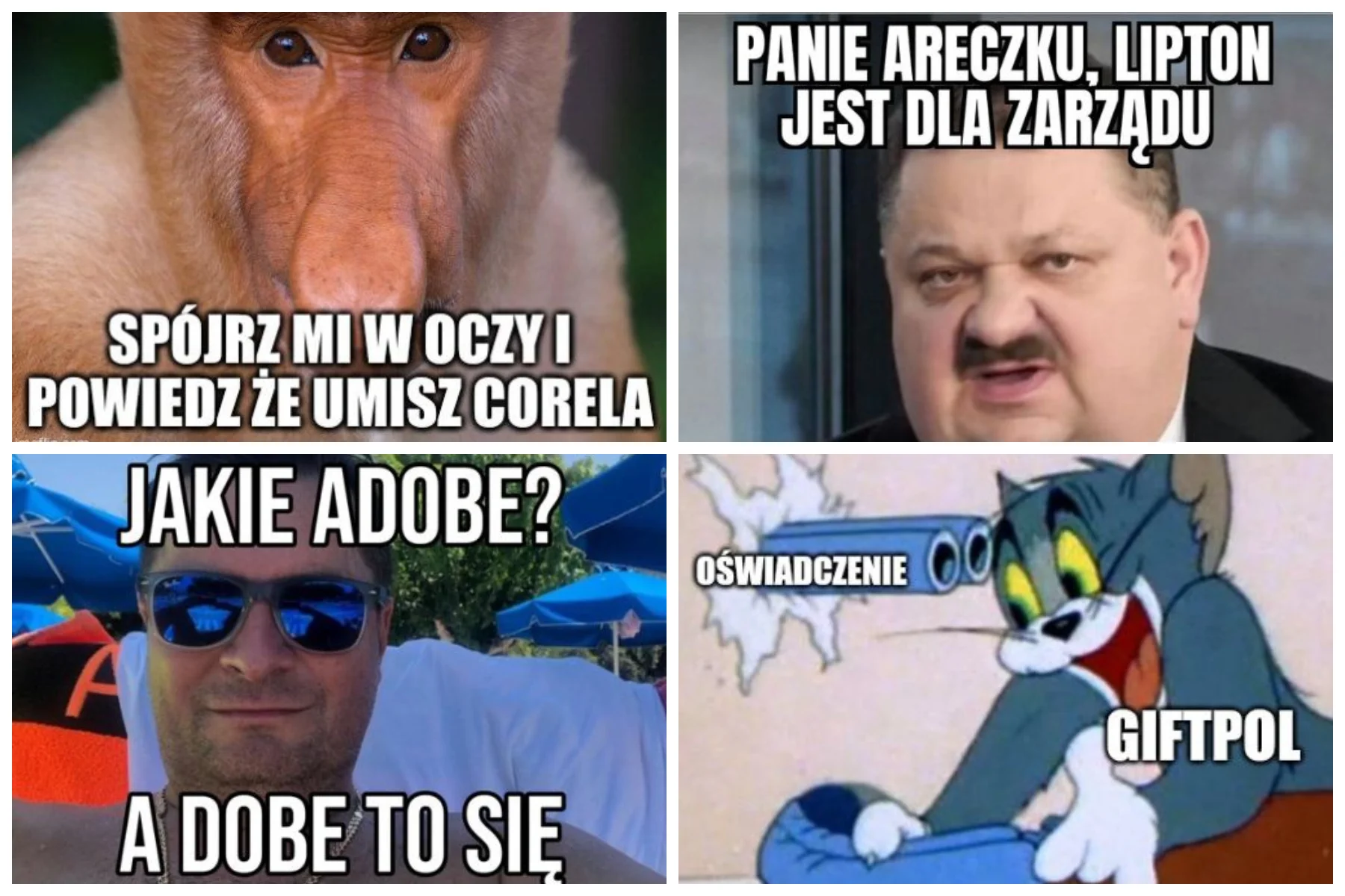 Memy po zwolnieniu graficzki na Skype przez Giftpol po dwóch dniach pracy.